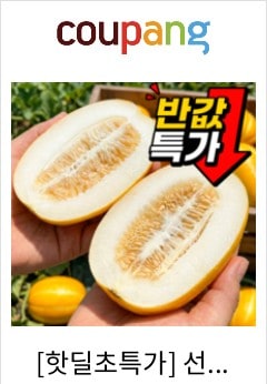 [핫딜초특가] 선착순100개 가정용 초고당도 참외, 1개, 1kg