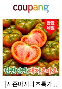 [시즌마지막초특가] 농장직송 꿀당도brix 달콤짭짤 대저토마토, 1박스, 2.5kg (M)